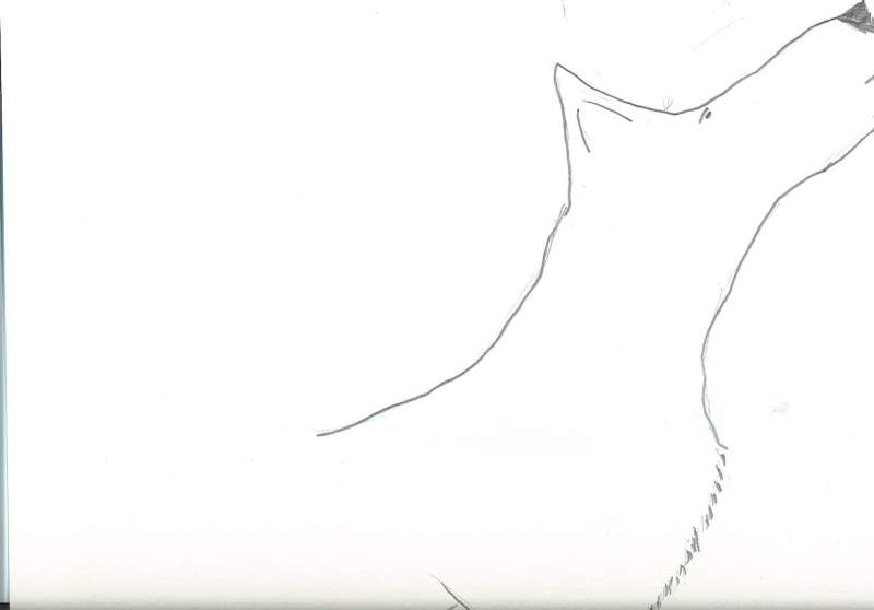 Balto