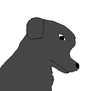 Spencer