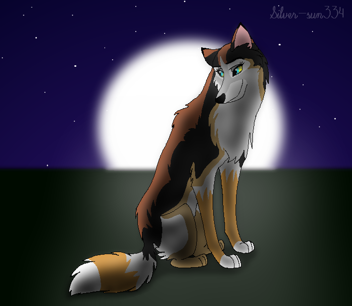 Gift for Noss5 - Sanya