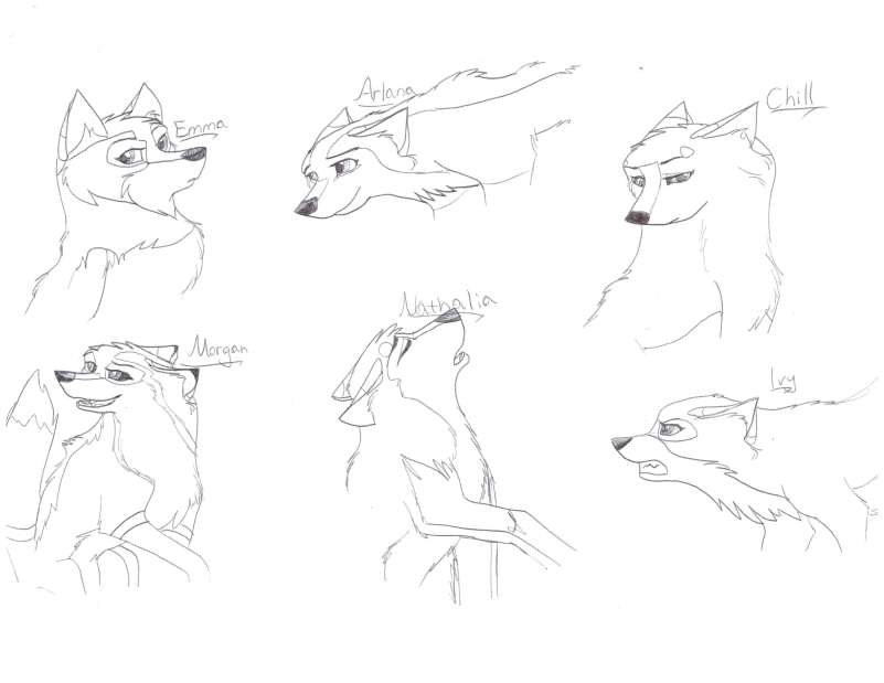 doodlez of my char's heads
