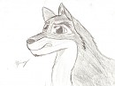 Balto quick sketch