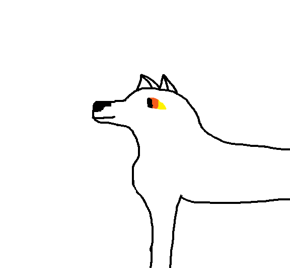 aniu
