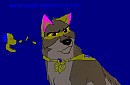 SUPER BALTO!!!!!!!!!!!! Soon to be MASCOT!