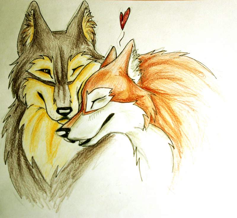 wolfie love