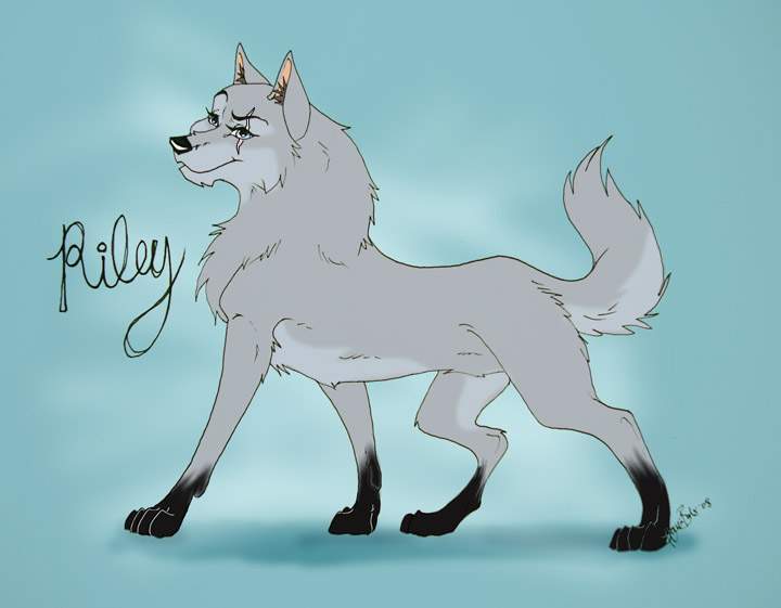 Request: PadFoot/Riley