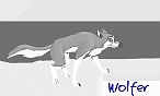 wolfer