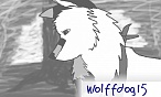 wolffdog15