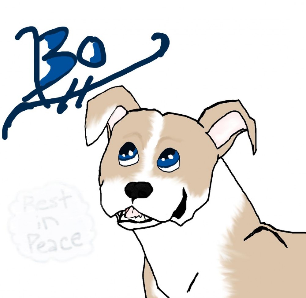 Bo