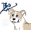 Bo