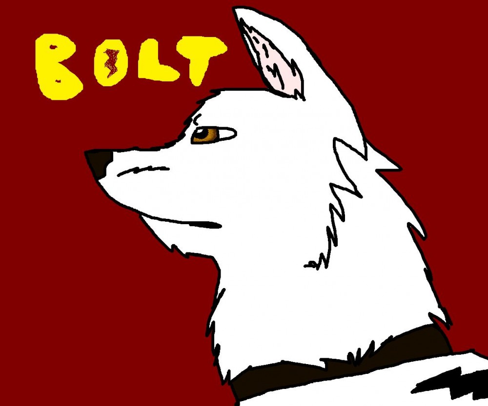 Bolt!...again!