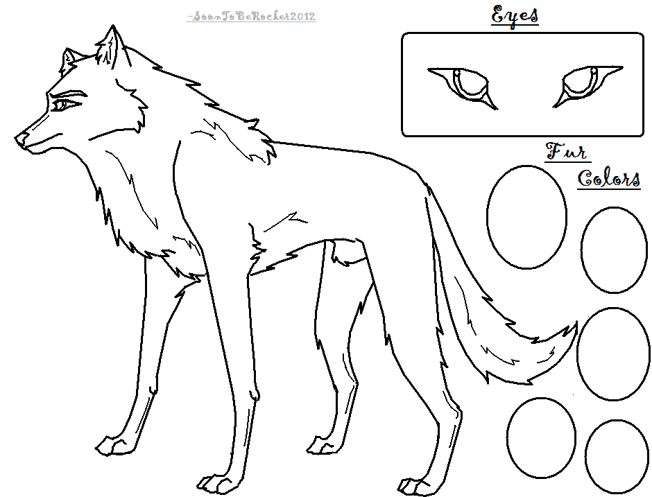 Grown Male Wolf Referance Sheet