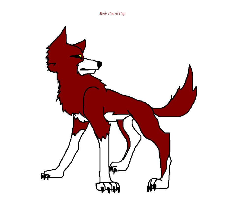 Red Faced Pup