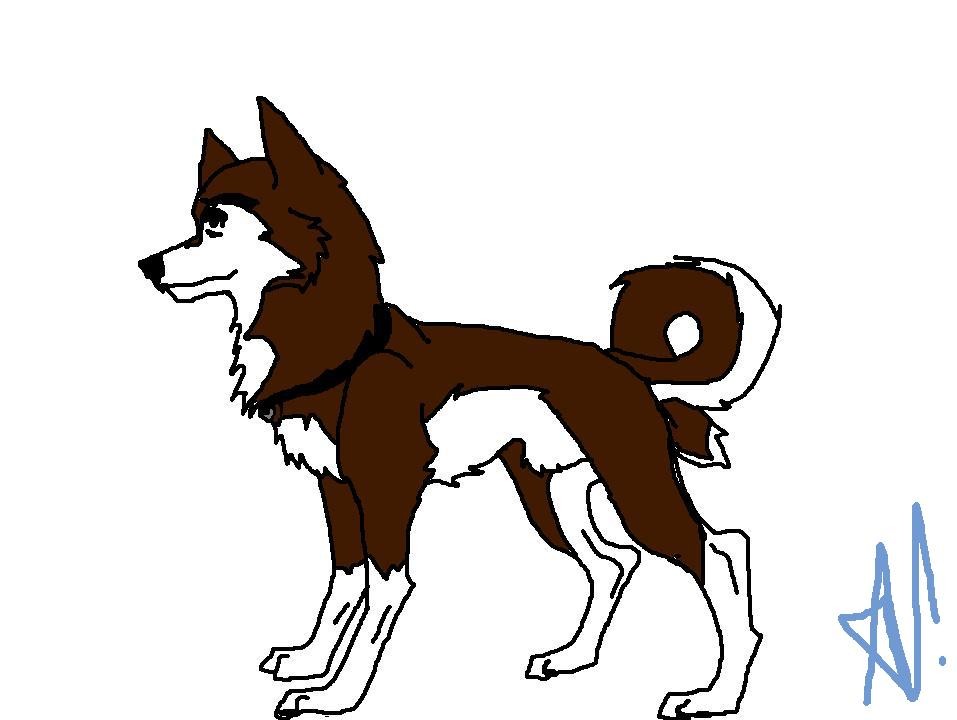 What  Balto's dad may have looked like