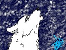 Aniu's call in a blizzard