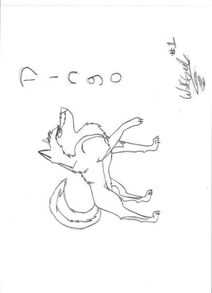 Dingo