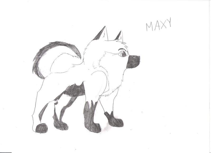 Max as a pup