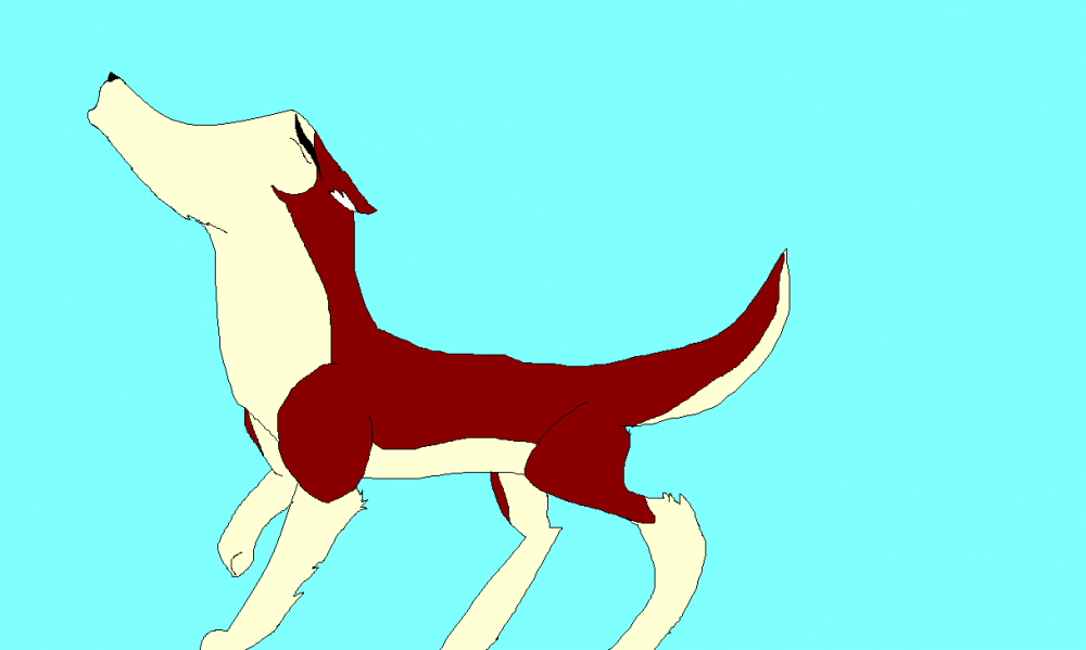 Jenna as a wolf