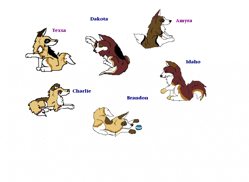 Marilyn and Tybalts pups!