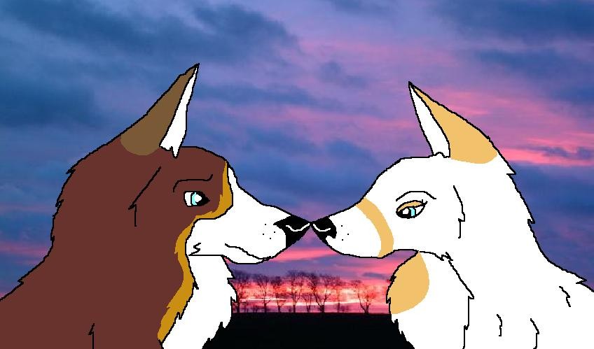 Shine and Idaho In love!!!