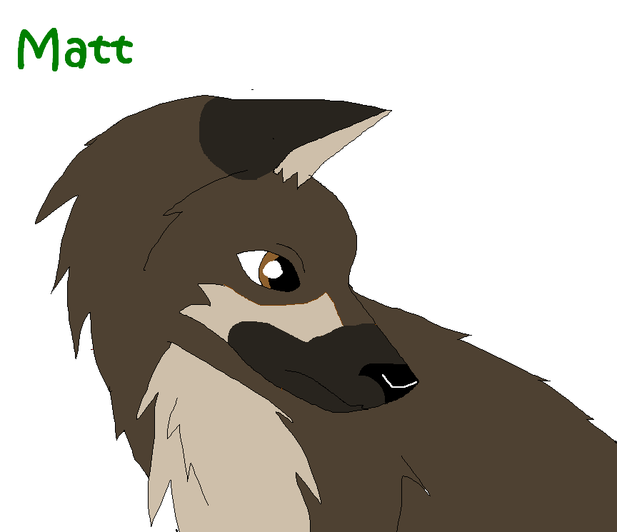 Art trade with Timberwolf61 Matt!