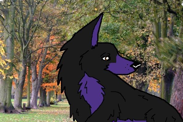 A giftie for Wolf Girl ^^