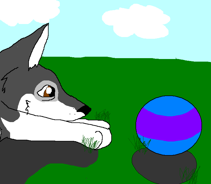 A gify for Yukon!