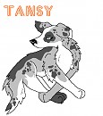 Tansy