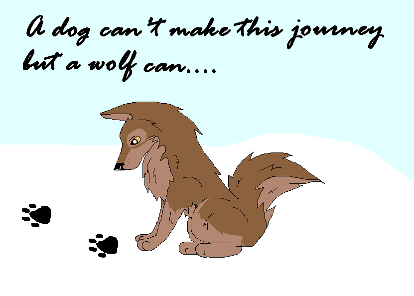 A dog can't make this journey but a wolf can......