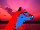 Shyla. in the sunset!