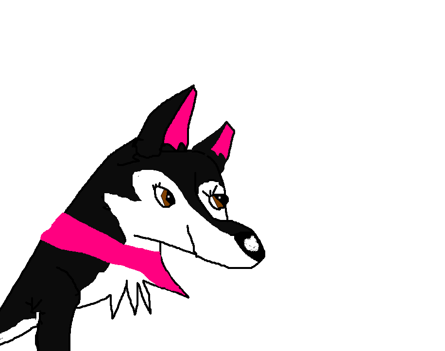 For rex GSD.