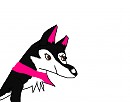 For rex GSD.