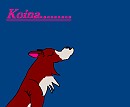Koina howling.