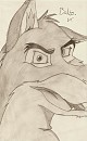 Shaded Balto