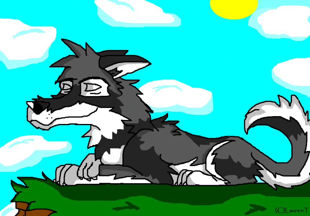Sleeping under the sun