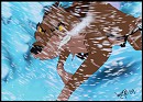 The Fearless in the storm