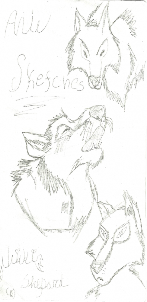 Aniu Pah-ractice!
