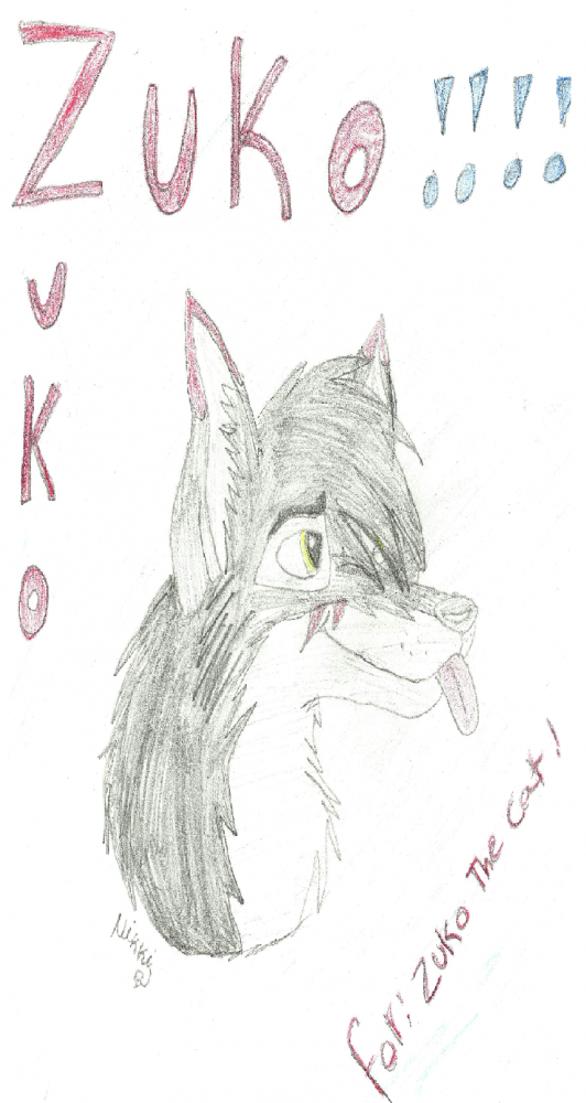 Zuko sketch for Zukothecat!