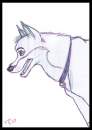 Balto Sketch