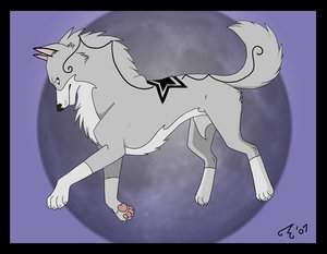Cora