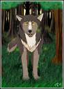 Forest Guardian