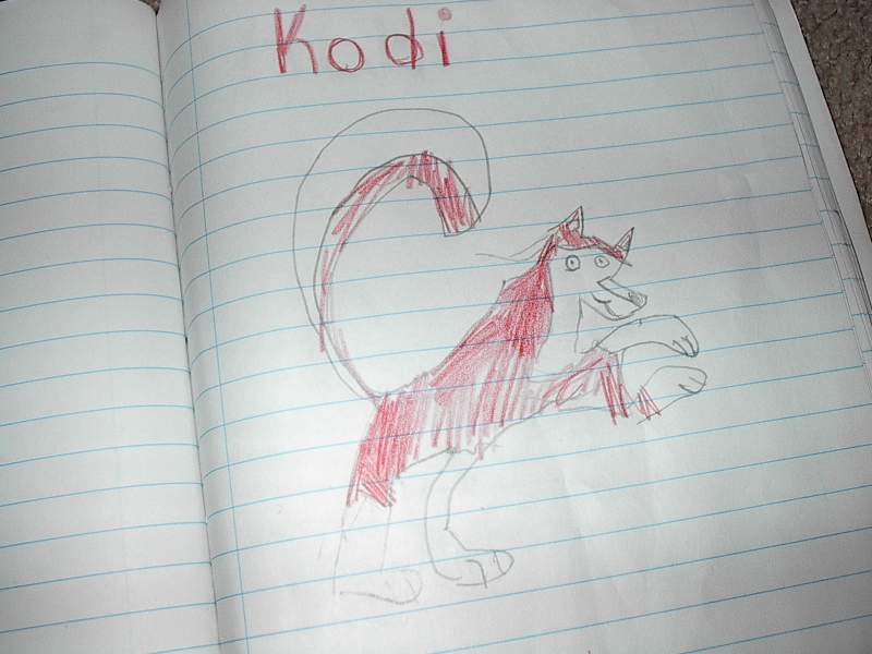 kodi