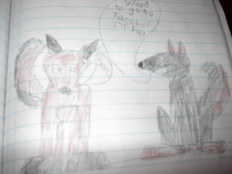  2 random wolfs