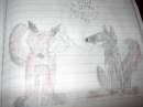  2 random wolfs
