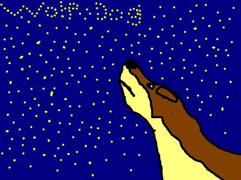 the stars