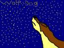 the stars