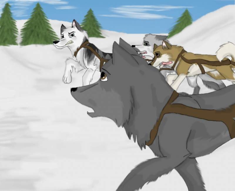 Race