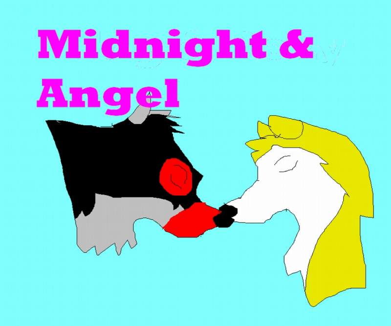Midnight and Angel