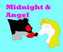 Midnight and Angel