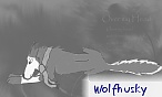 wolfhusky