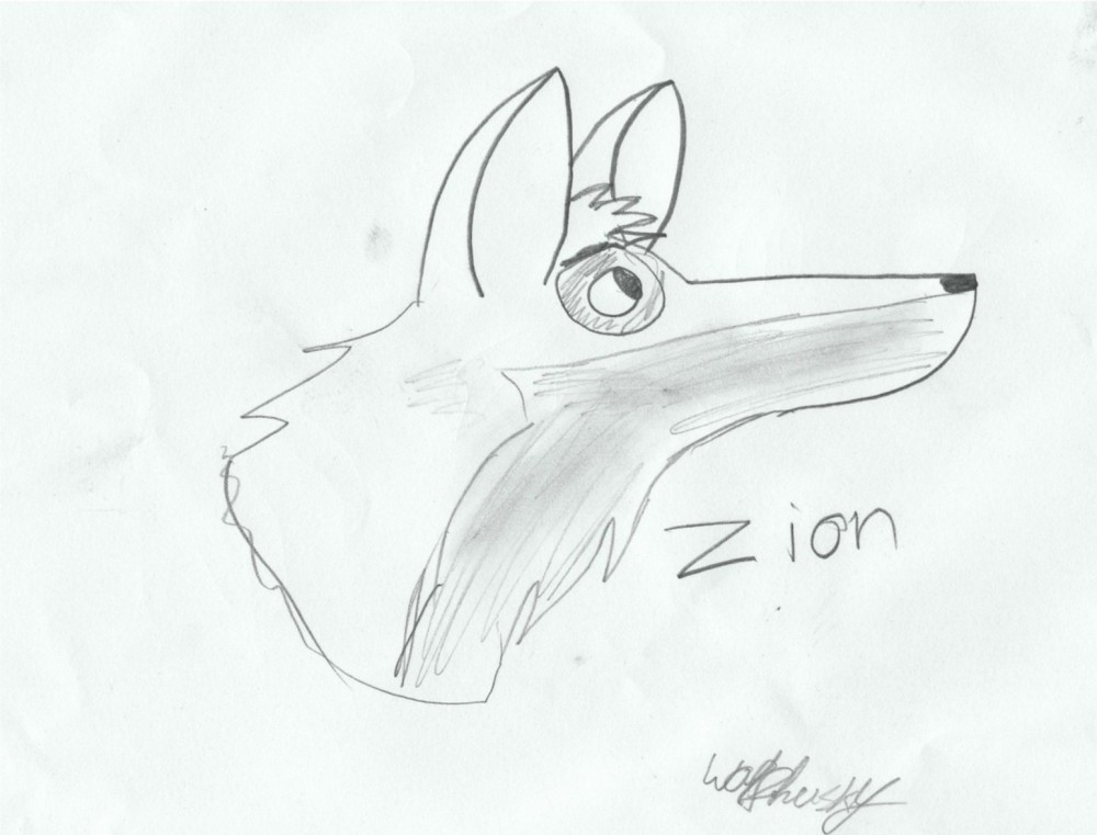 Zion for Zion